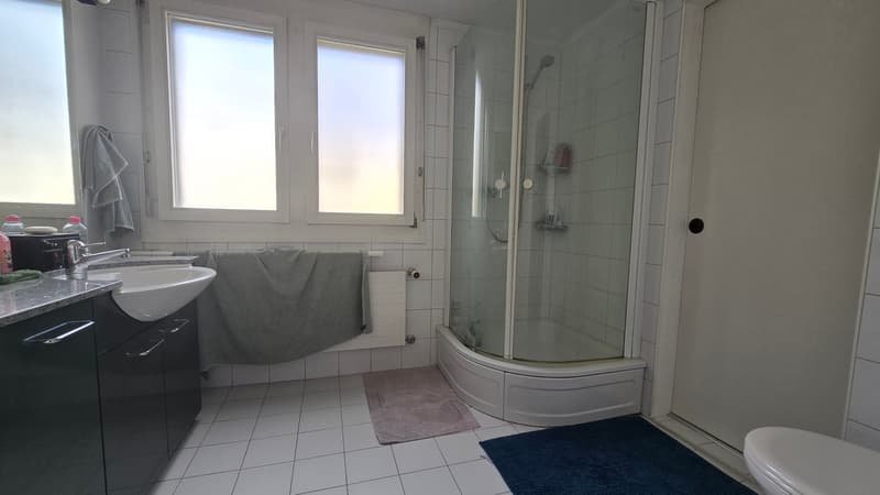 Badzimmer mit Dusche