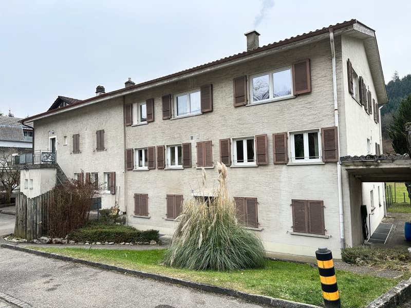 Appartamento ristrutturato di 2,5 locali con bella vista (8)