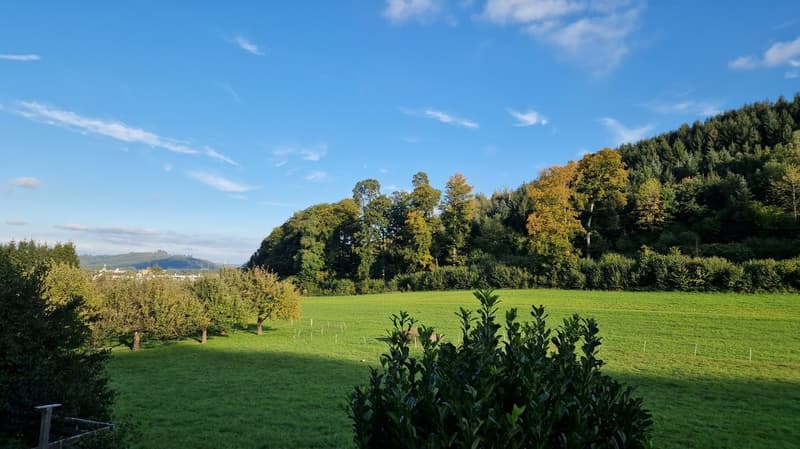 Appartamento ristrutturato di 2,5 locali con bella vista (7)