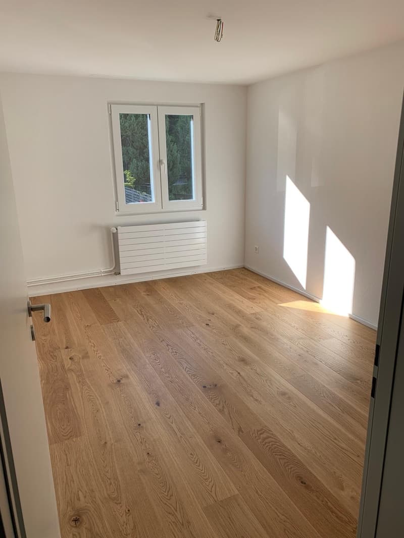 Appartamento ristrutturato di 2,5 locali con bella vista (4)