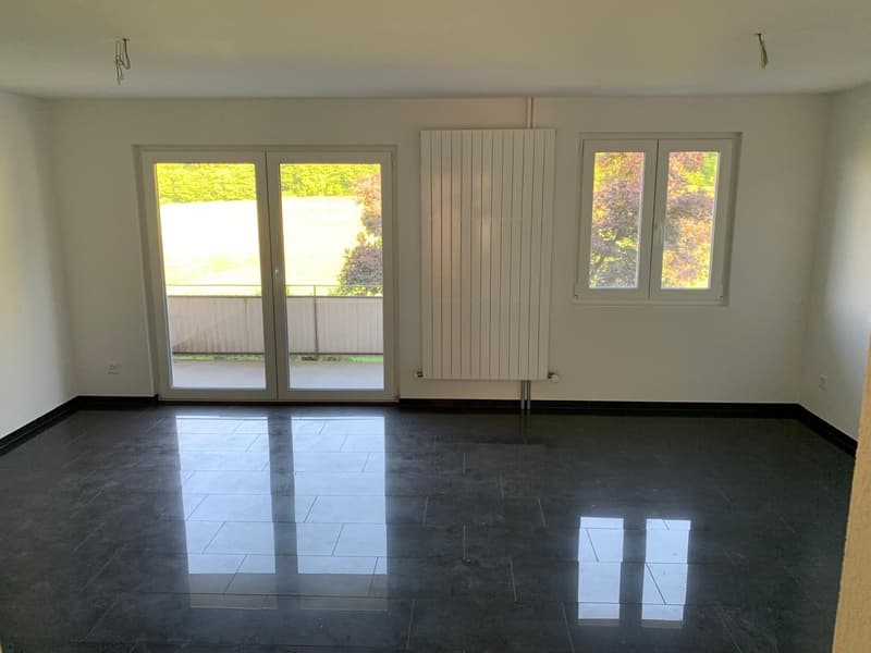 Appartamento ristrutturato di 2,5 locali con bella vista (5)