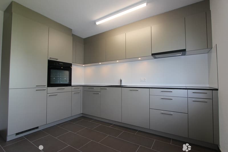 Frisch sanierte 4.5-Zimmer-Wohnung mit Balkon und Cheminée (3)