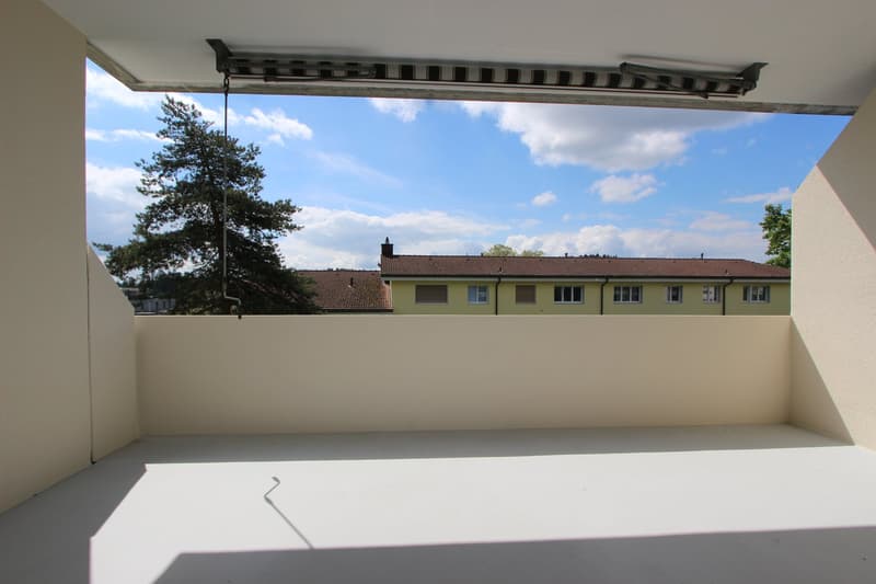 Appartement de 4,5 pièces fraîchement rénové avec balcon et cheminée (2)