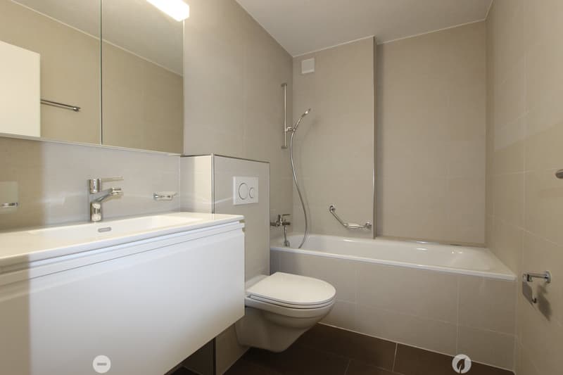 Frisch sanierte 4.5-Zimmer-Wohnung mit Balkon und Cheminée (6)