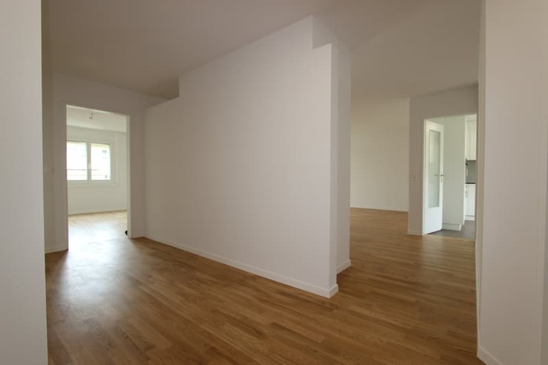 Frisch sanierte 4.5-Zimmer-Wohnung mit Balkon und Cheminée (13)