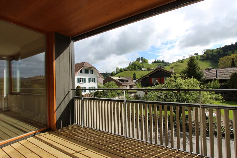 Appartamento moderno 2.5 locali con balcone (4)