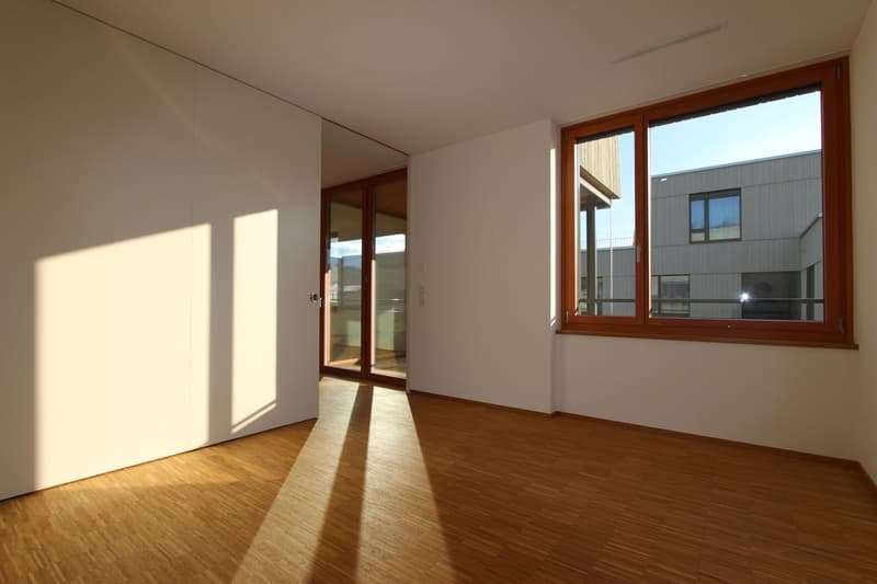 Appartamento moderno 2.5 locali con balcone (10)