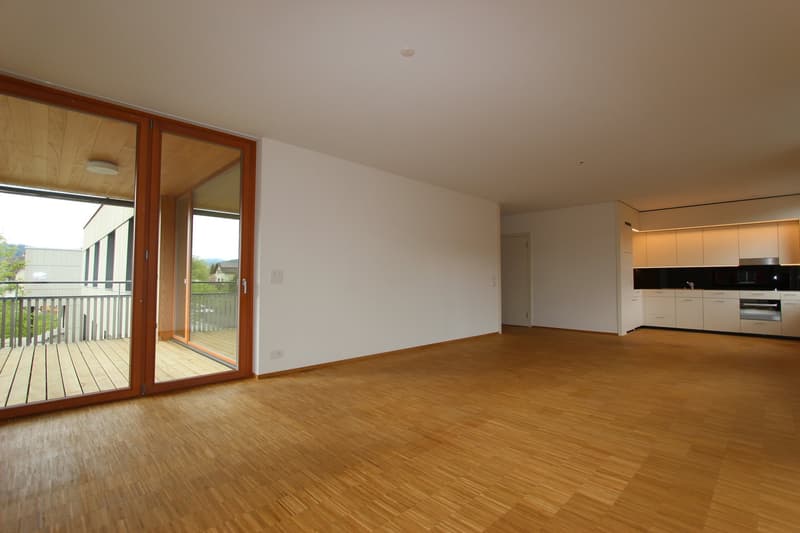 Appartamento moderno 2.5 locali con balcone (3)
