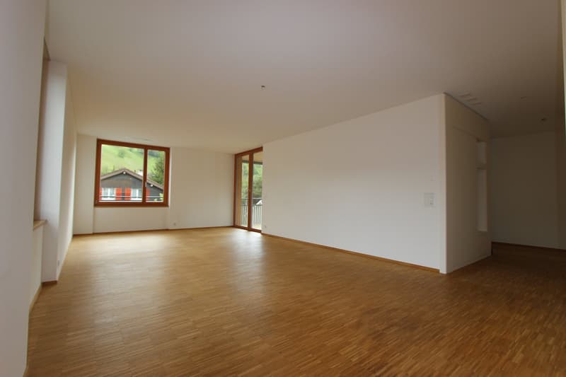 Appartamento moderno 2.5 locali con balcone (5)