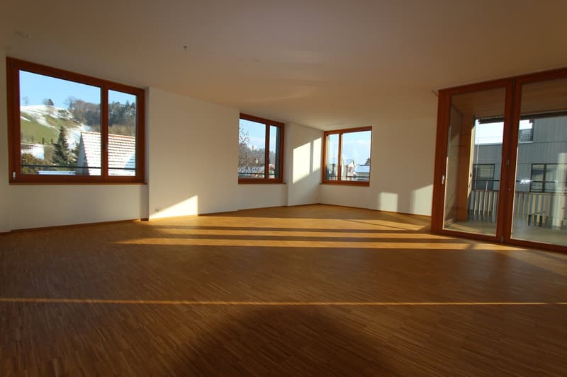 Appartamento moderno 2.5 locali con balcone (9)