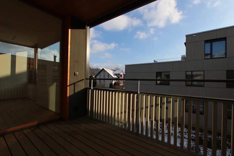 Appartamento moderno 2.5 locali con balcone (12)