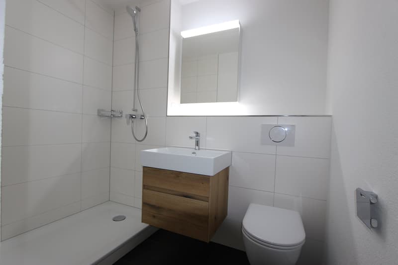 Freshly renovated 4.5-room apartment with balcony and view in Lyss (7)