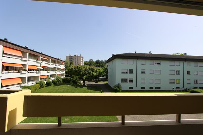 Freshly renovated 4.5-room apartment with balcony and view in Lyss (13)