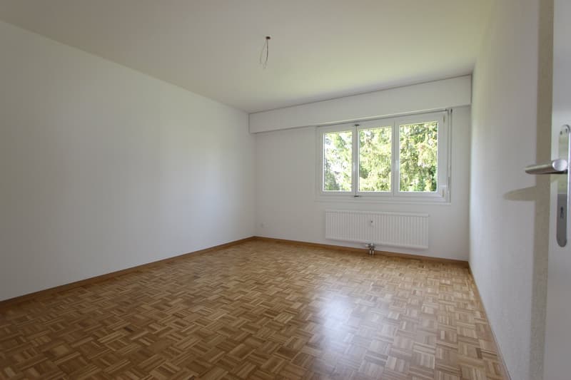 Freshly renovated 4.5-room apartment with balcony and view in Lyss (9)
