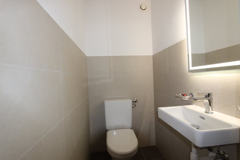 Renovated bright 3.5-room apartment with balcony (7)