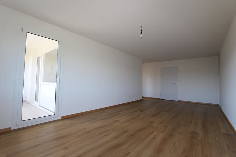 Renovated bright 3.5-room apartment with balcony (13)