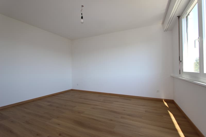 Renovated bright 3.5-room apartment with balcony (11)