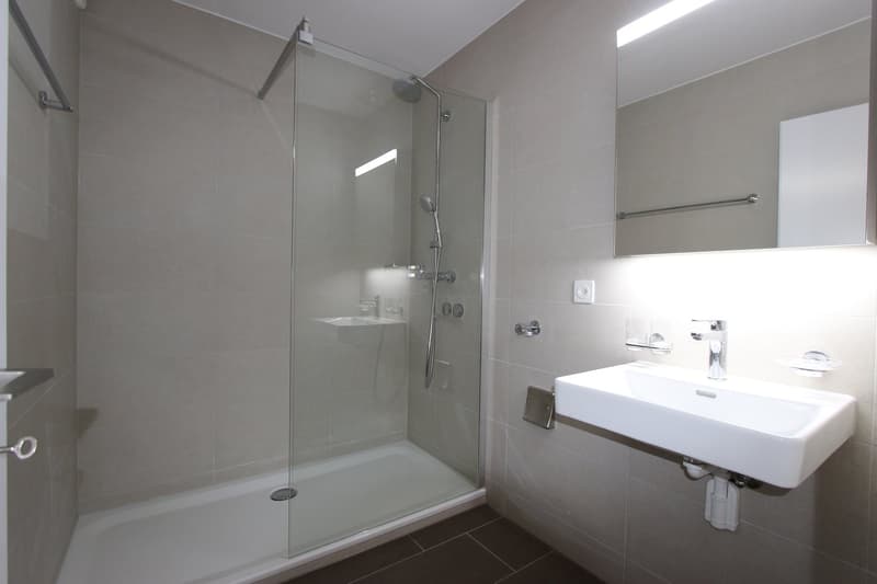Renovated bright 3.5-room apartment with balcony (5)