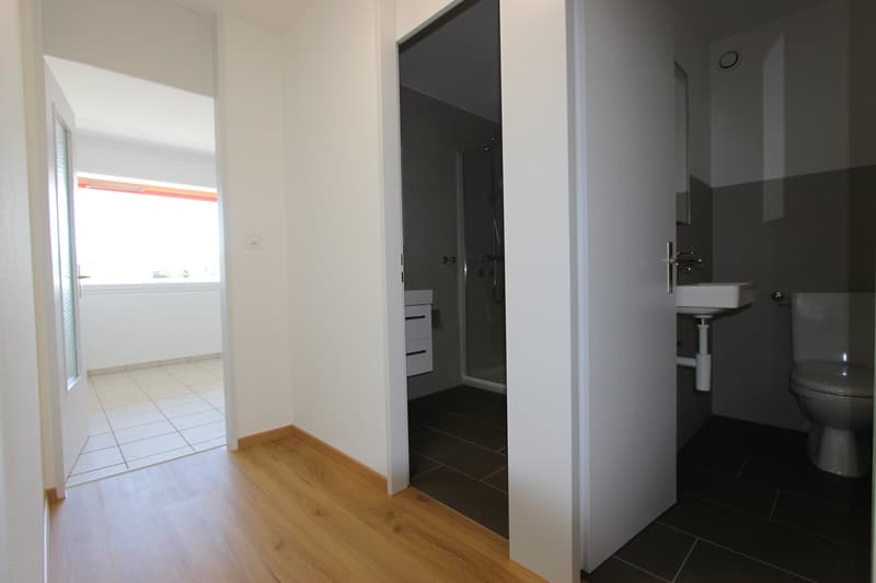 Renovated bright 3.5-room apartment with balcony (9)