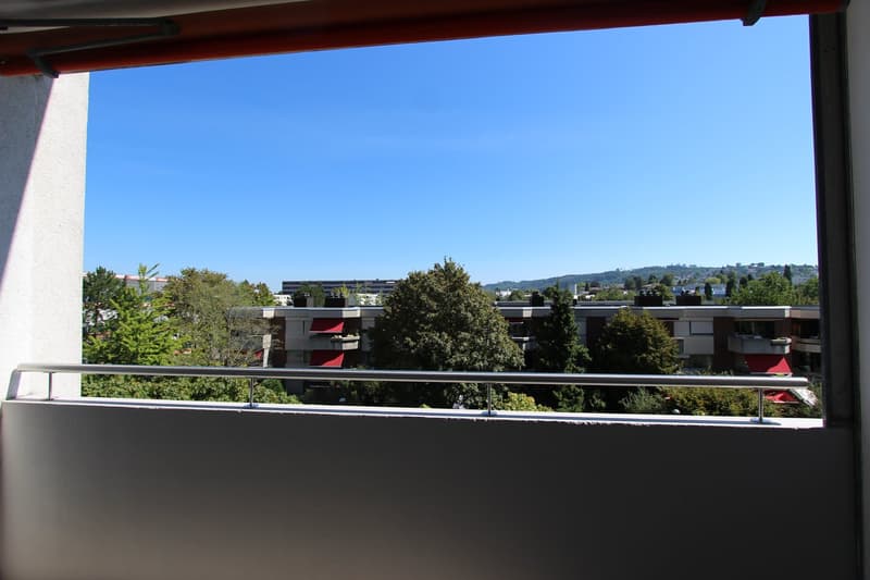 Renovated bright 3.5-room apartment with balcony (2)