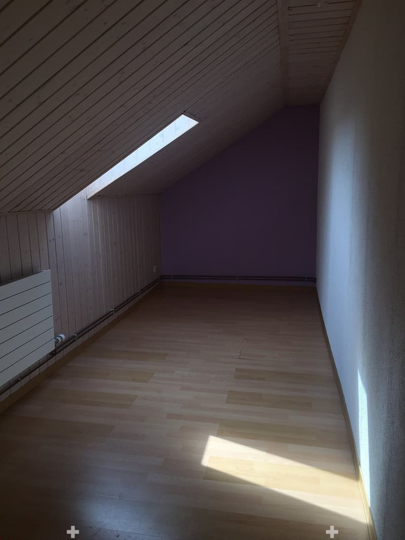 Zimmer_2