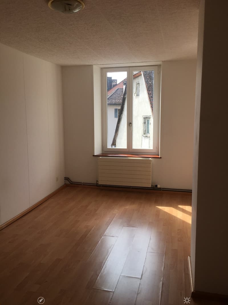 Zimmer_1