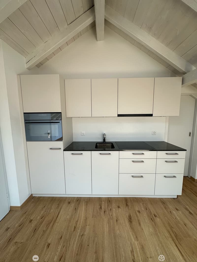 Super schöne Single-Dachwohnung mit privater Rooftop Terrasse (7)