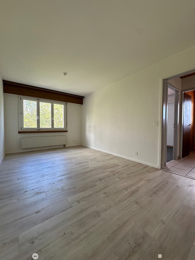 Charmante 3.5-Zimmer-Wohnung mit grossem Balkon und schöner Aussicht in Biel (7)