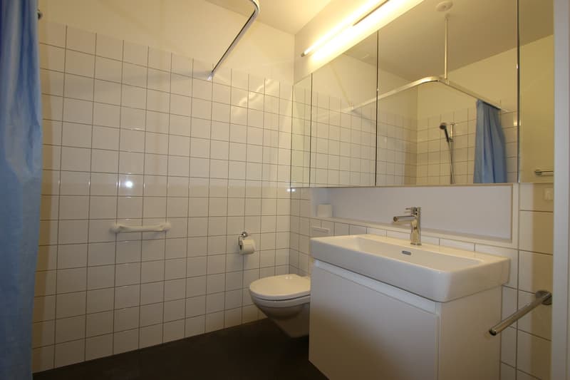 Charmante 2.5-Zimmer-Wohnung im Erdgeschoss (9)
