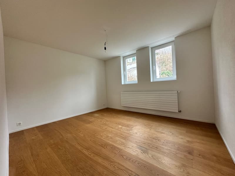 Sanierte 5.5-Zimmer-Wohnung mit grossem Garten (8)