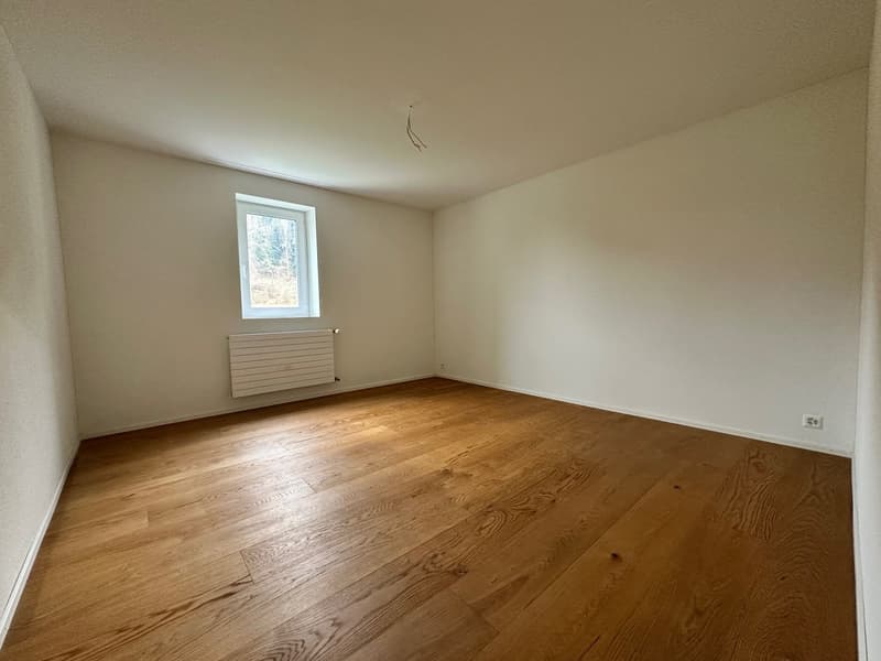 Sanierte 5.5-Zimmer-Wohnung mit grossem Garten (6)