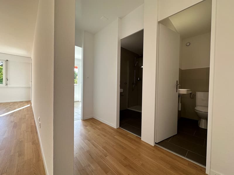 Sanierte helle 3.5-Zimmer-Wohnung mit Balkon und Seesicht (10)