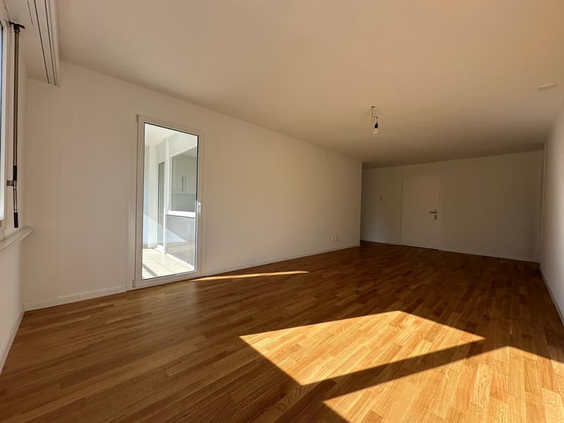 Sanierte helle 3.5-Zimmer-Wohnung mit Balkon und Seesicht (8)