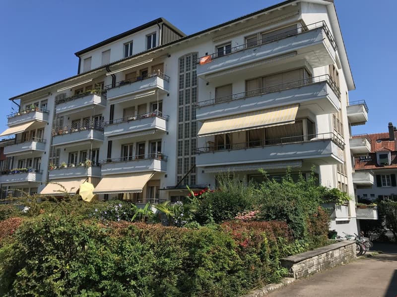 Ampio appartamento in un quartiere residenziale popolare (1)