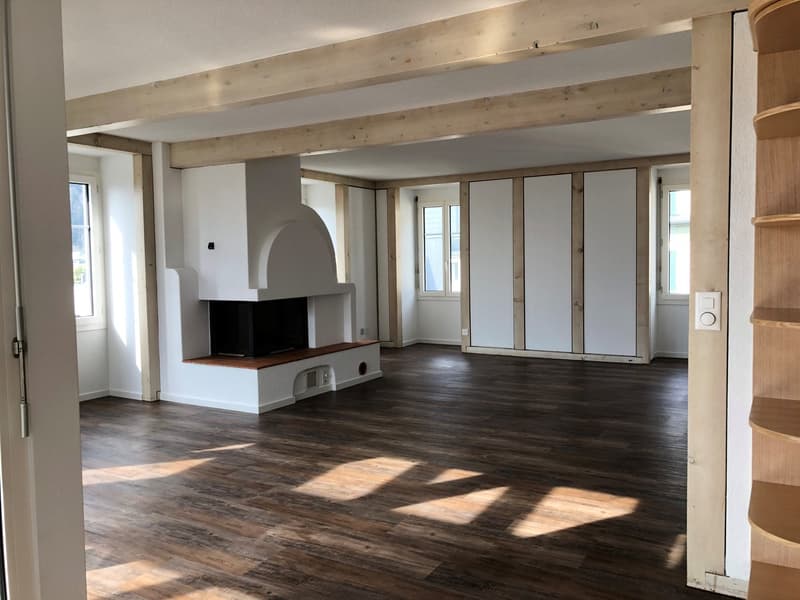 Appartement spacieux 3.5 pièces sous les toits avec terrasse et vue sur les montagnes (3)