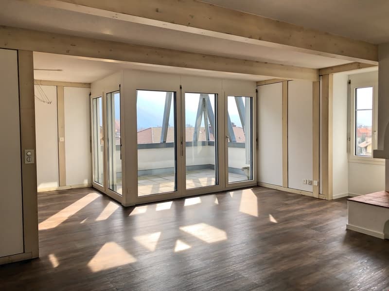 Appartement spacieux 3.5 pièces sous les toits avec terrasse et vue sur les montagnes (1)