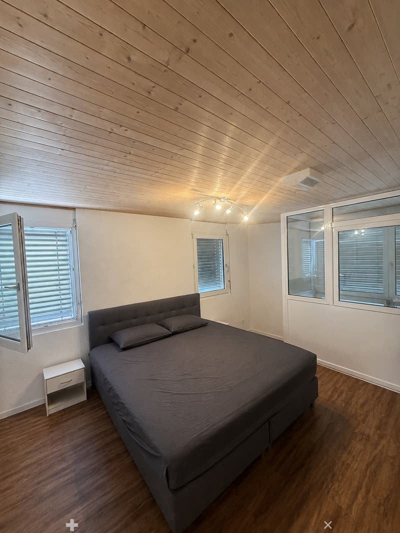 Charmante 3.5-Zimmer-Wohnung im Herzen von Interlaken (5)