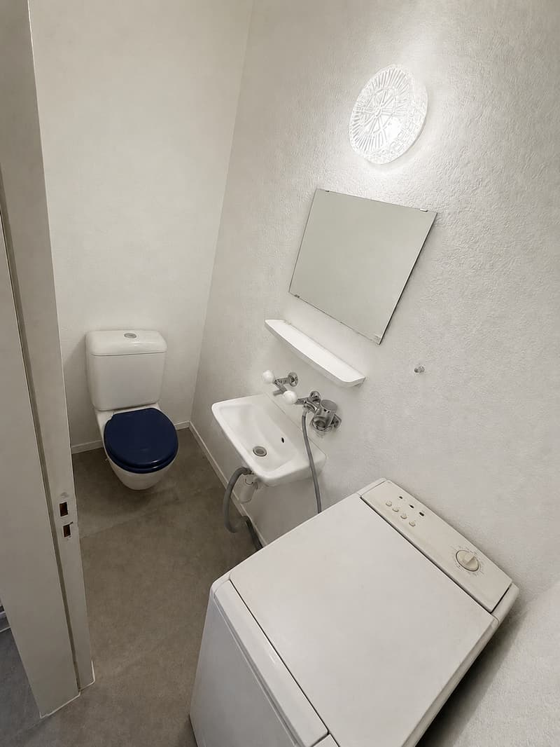 Charmante 3.5-Zimmer-Wohnung im Herzen von Interlaken (9)