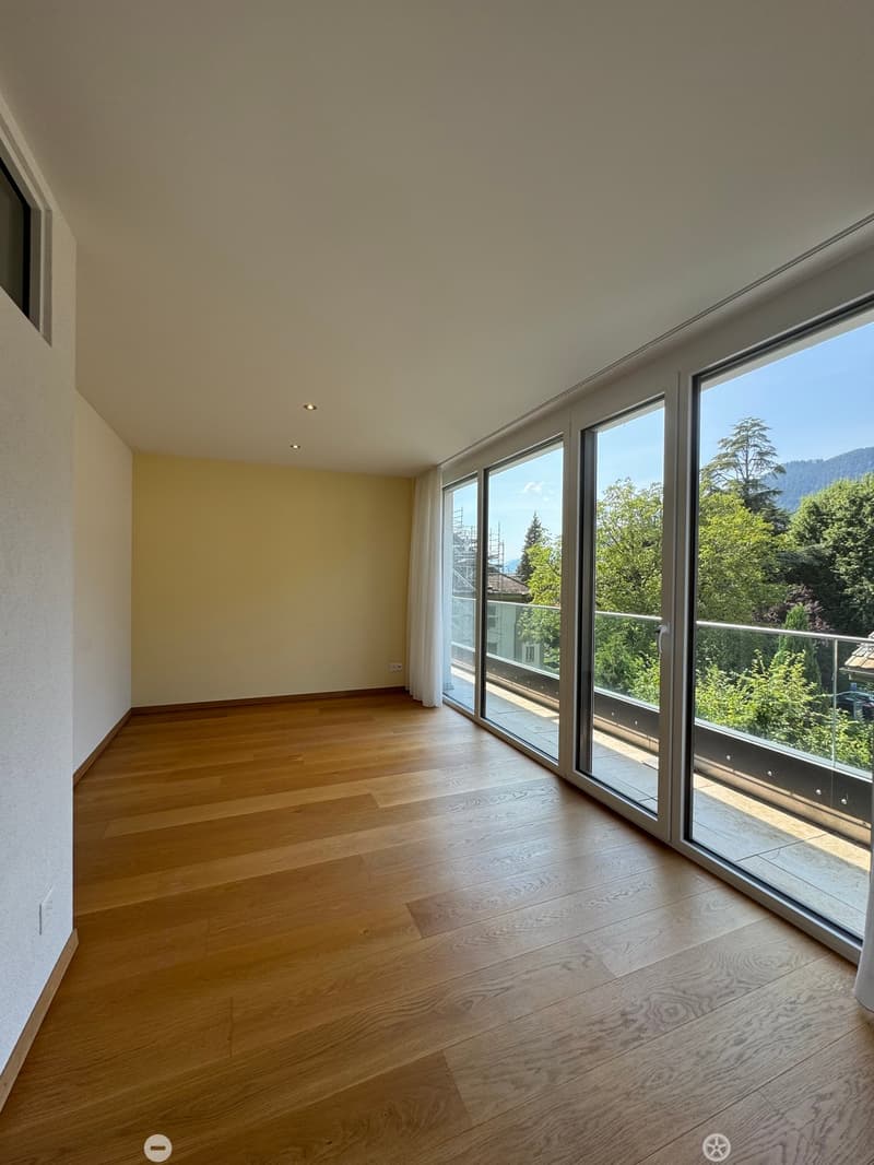 Hochwertige Attika-Wohnung zu vermieten (7)