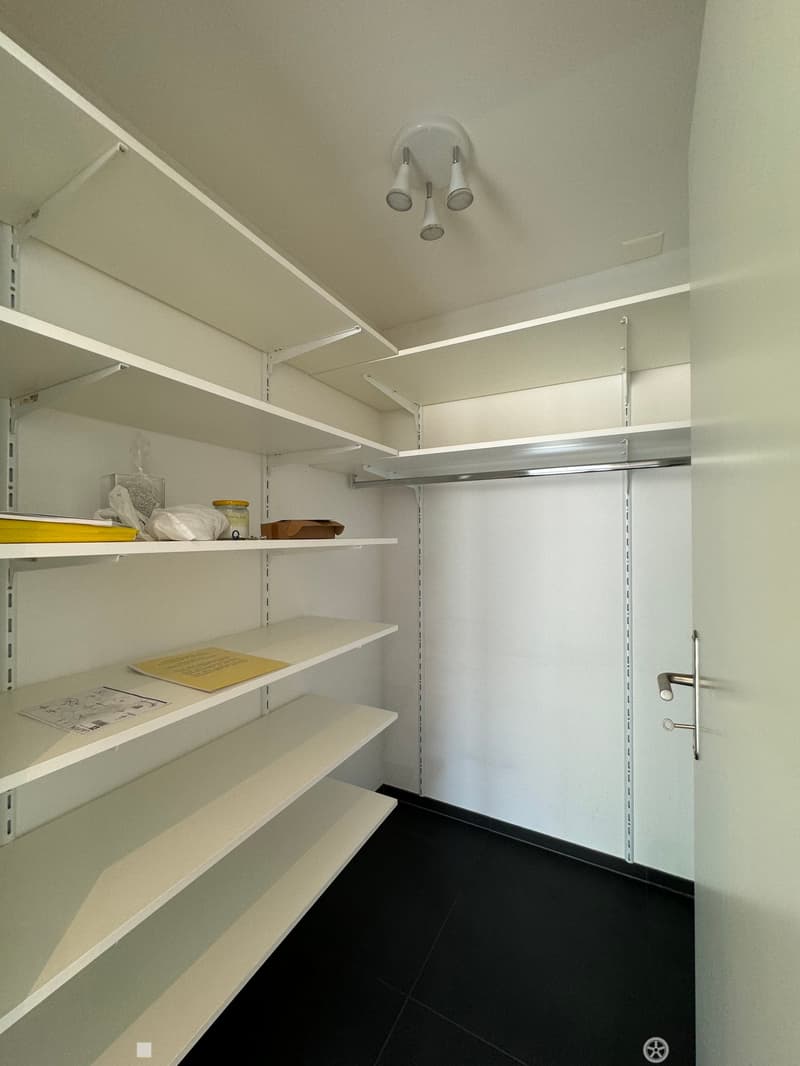 Hochwertige Attika-Wohnung zu vermieten (6)