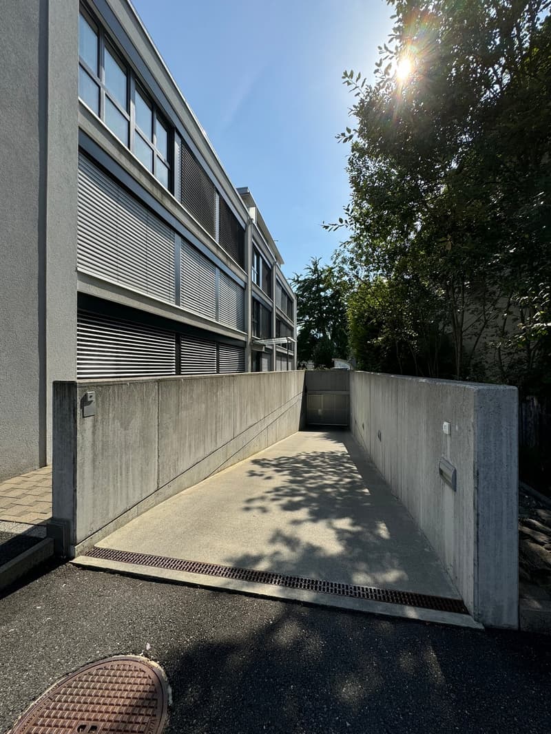 Hochwertige Attika-Wohnung zu vermieten (21)