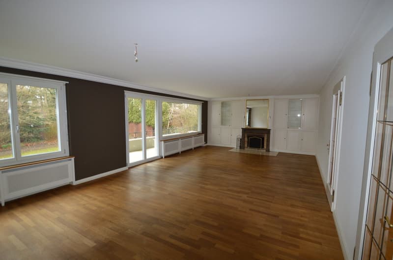 wide open space, wooden floor, white walls, large windows, fireplace