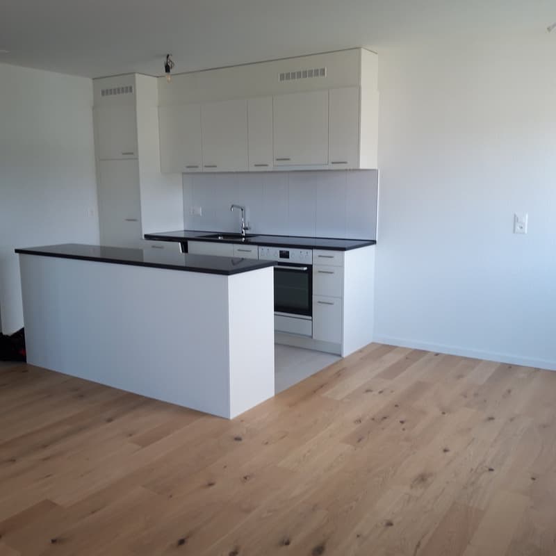 white kitchen cabinets, island with black countertops, silver appliances, hardwood floors, power outlet, sink with faucet