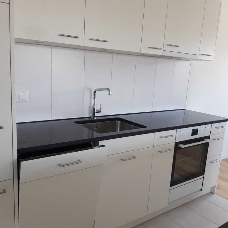 Newly renovated 3.5-room apartment in a central location with a wonderful view (3)