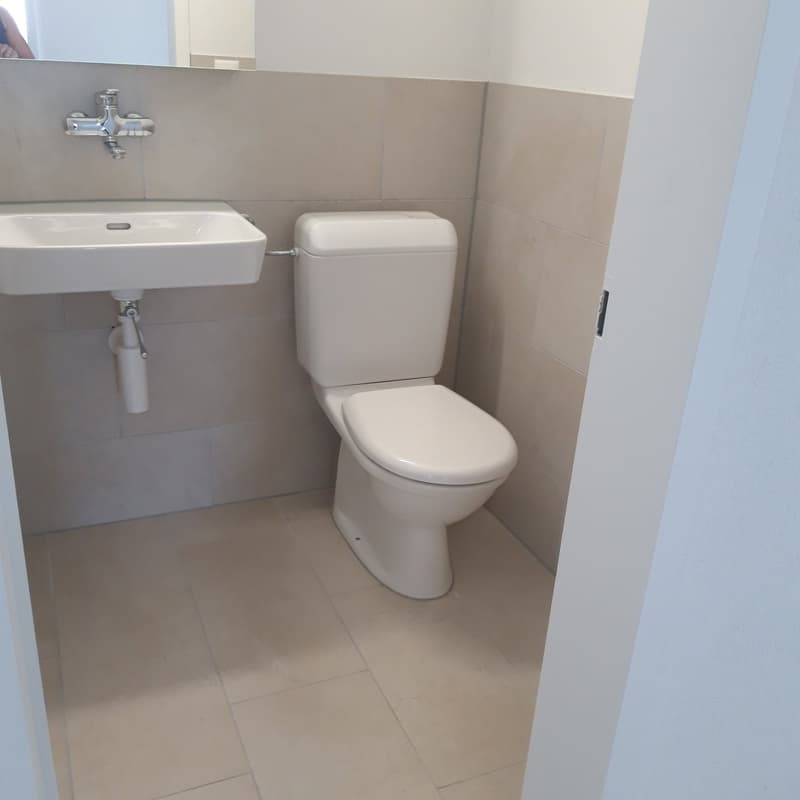 Newly renovated 3.5-room apartment in a central location with a wonderful view (7)