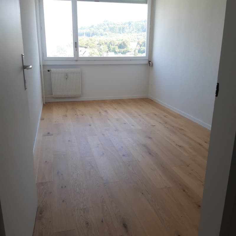Newly renovated 3.5-room apartment in a central location with a wonderful view (4)