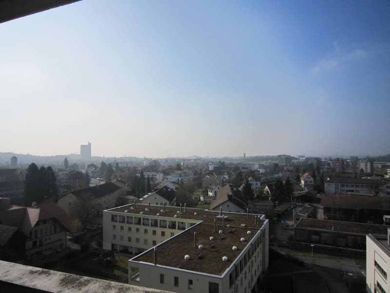 Newly renovated 3.5-room apartment in a central location with a wonderful view (2)