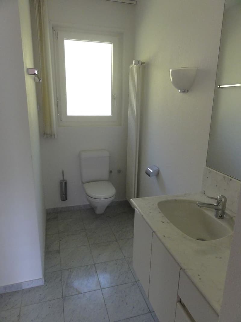 Spacious 7-room apartment with pool and panoramic view in Muri b. Bern (8)