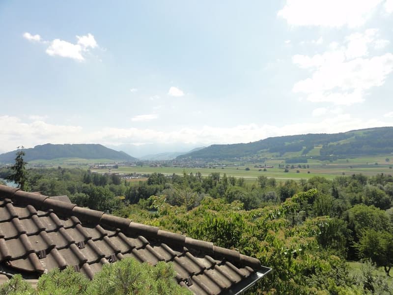 Spacious 7-room apartment with pool and panoramic view in Muri b. Bern (15)