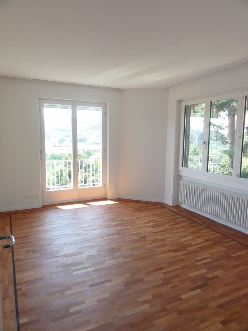 Spacious 7-room apartment with pool and panoramic view in Muri b. Bern (7)